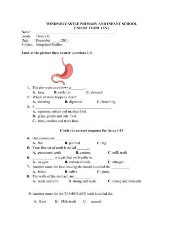 Integrated Studies test