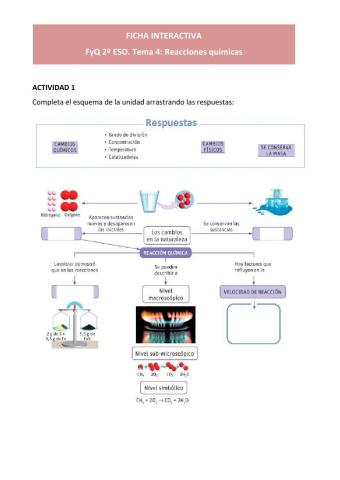 Fyq2eso-tema 4-Reacciones Químicas