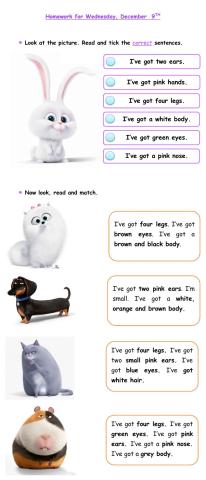 The Secret Life of Pets (Parts of the body)