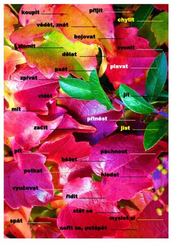 Irregular verbs 1