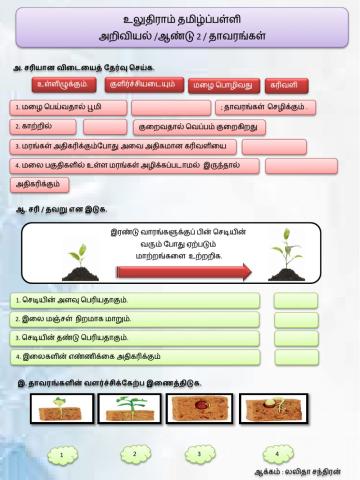 தாவரங்கள்