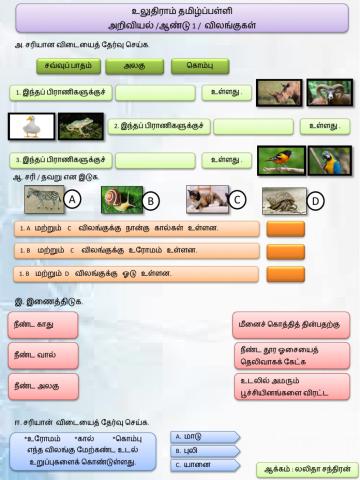 விலங்குகள்