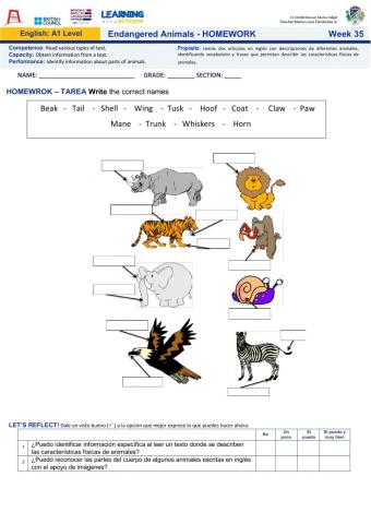 Week35: Endangered Animals - HOMEWORK MMN- Nivel A1