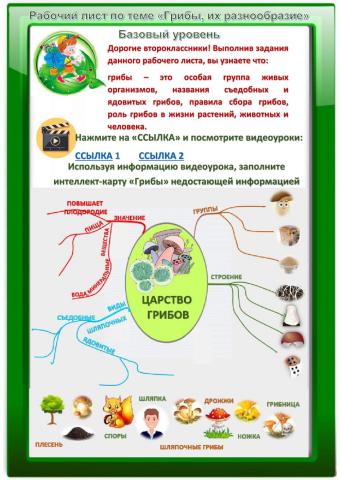 Грибы (Базовый уровень)