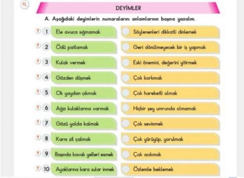 Deyimler ve Anlamları Taşıma Etkinliği