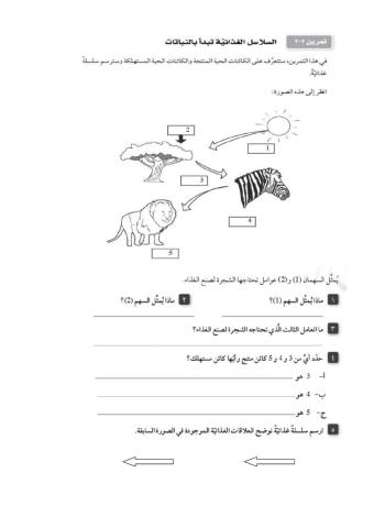 السلاسل الغذائية تبدأ بالنباتات