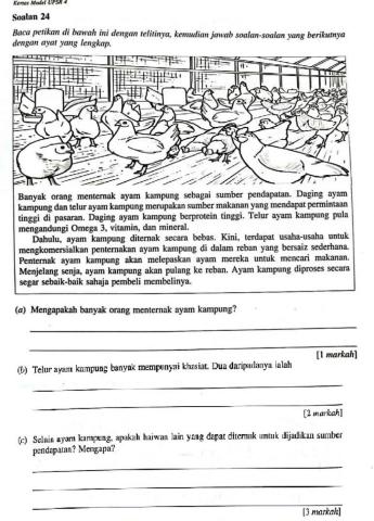 Kertas Modul UPSR 4 (D)