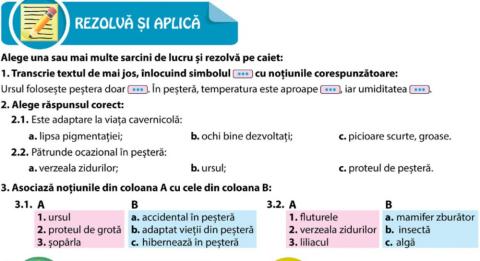 Pestera