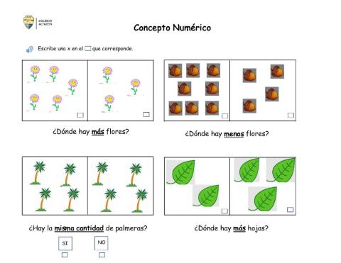 Concepto Numérico