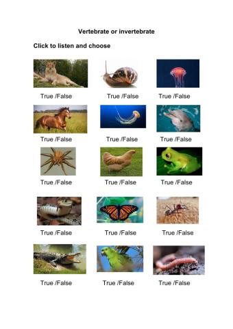 Vertebrate versus invertebrate