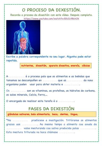 Proceso da dixestión