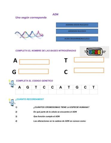 Adn