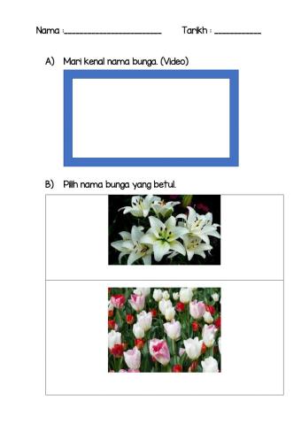 Mengenal Nama Bunga