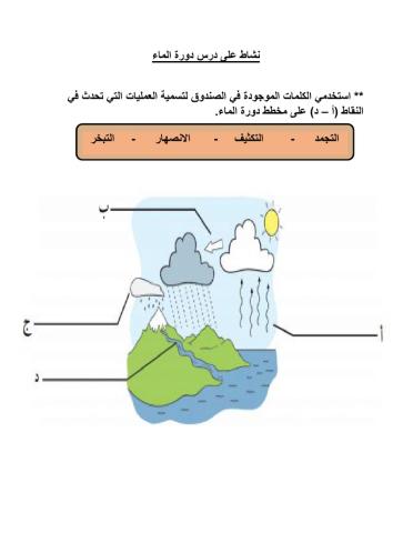 نشاط على دورة الماء