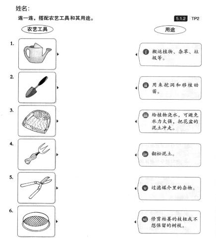 播种容器