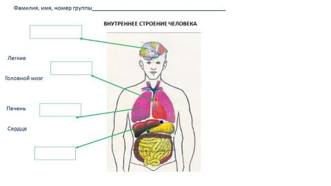 Человек