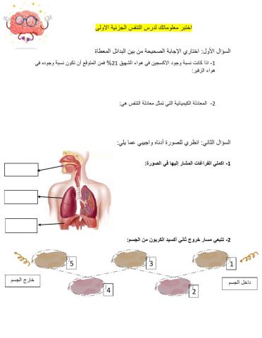 الجهاز التنفسي