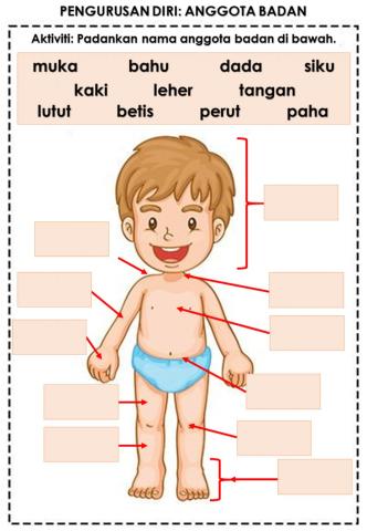 Menamakan Anggota Badan