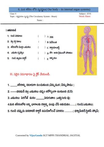 5th evs organ sys CS tm by Vijay GUndu