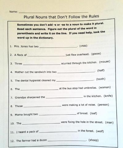 Irregular plural nouns