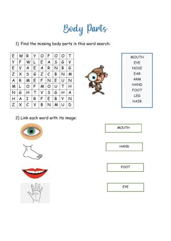 Vocabulary of body parts