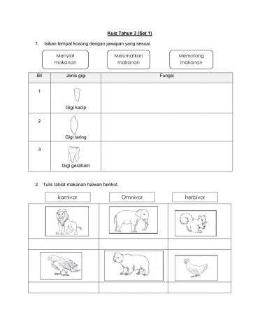 Kuiz Sains Tahun 3 (Set 1)