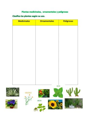 Clasificación de platas