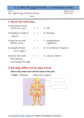 5th evs organ sys SS  by Vijay GUndu