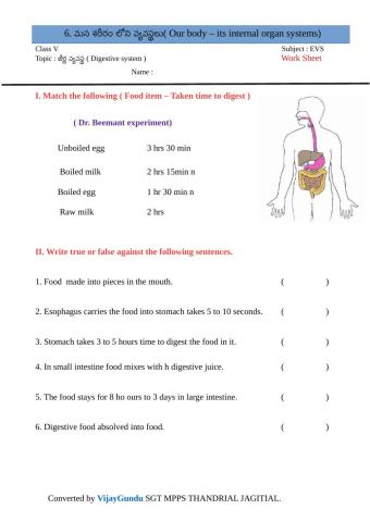 5th evs organ sys DS em 1 by Vijay GUndu