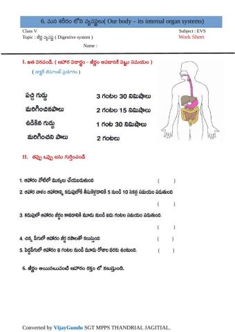 5th evs organ sys DS tm 1 by Vijay GUndu