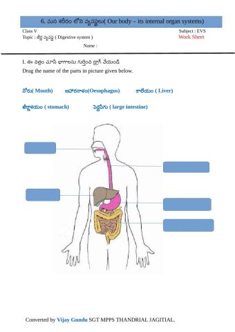 5th evs organ sys DS 2  by Vijay GUndu