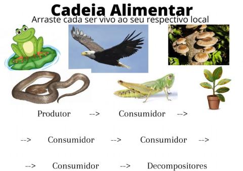 Cadeia Alimentar