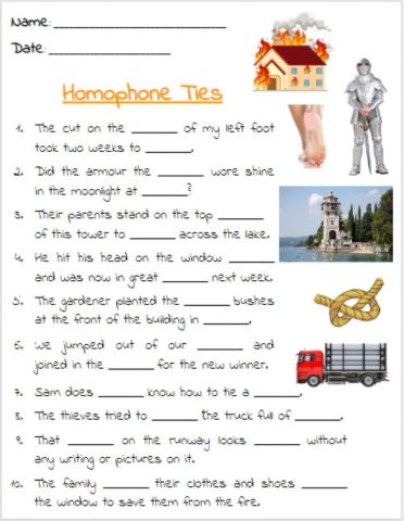 Homophone Exercise 5