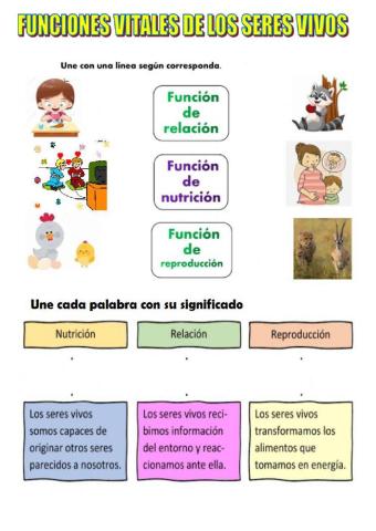 Funciones vitales