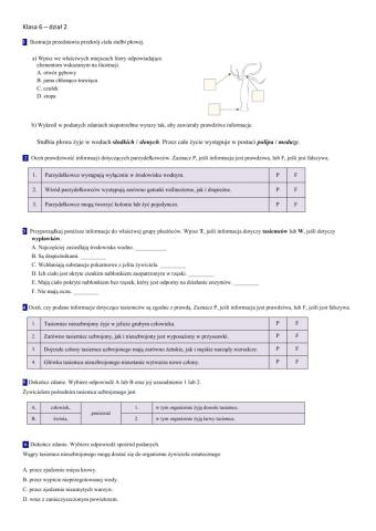 Klasa 6 - dzia ł2