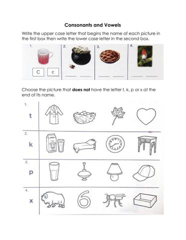 Consonants and Vowels