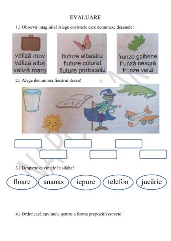 Evaluare