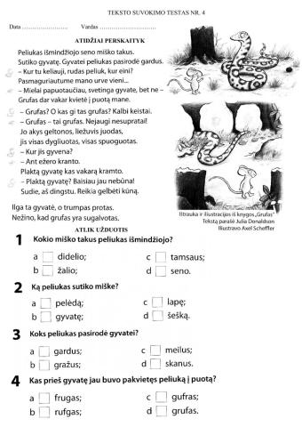 Teksto suvokimo 4 testas