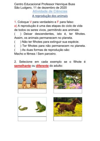 A reprodução dos animais