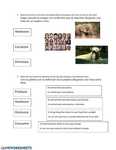 Types of Feeding Relationships-EL