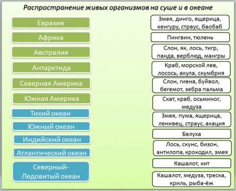 Распространение живых организмов на суше и в океане