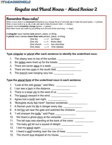 Singular vs Plural Mixed Review 2
