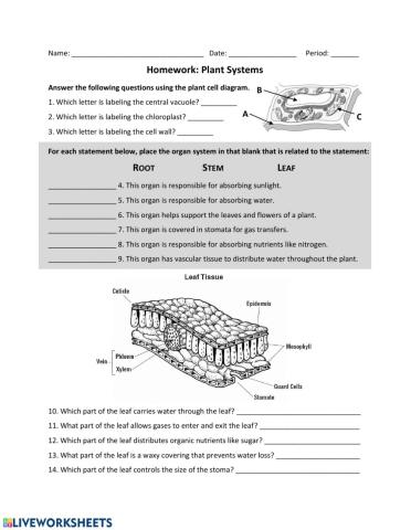 Plant Systems