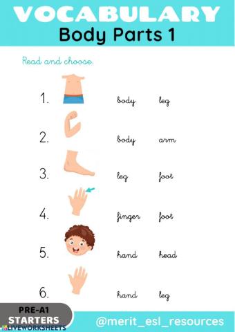 Body Parts - Read and choose