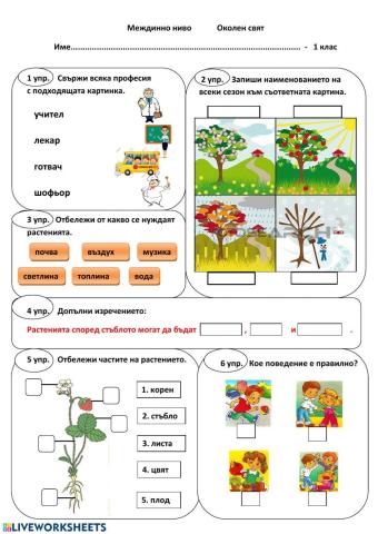 Междинно ниво Околен свят 1. клас