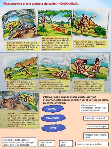 Homo Habilis 2