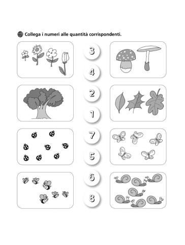 Collega numeri alle quantità