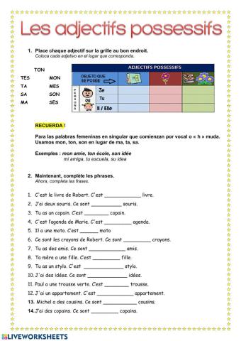 Les adjectifs possessifs 1 possesseur