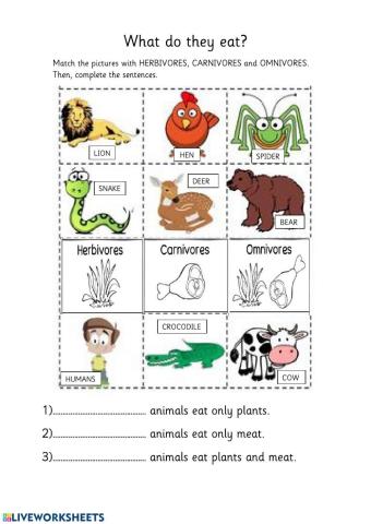 Carnivore, herbivore, omnivore