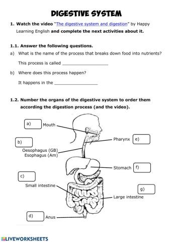 NUTRITION 2 - Digestive System